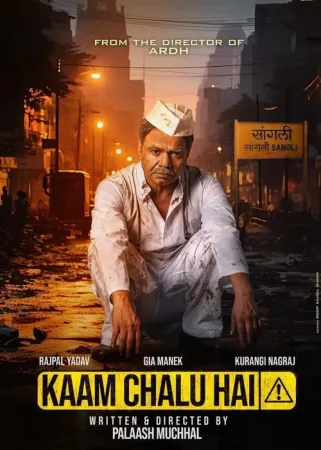 Kaam Chalu Hai 2024 Poster