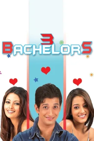 3 Bachelors 2012 Poster