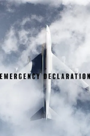 Emergency Declaration 2021 Poster